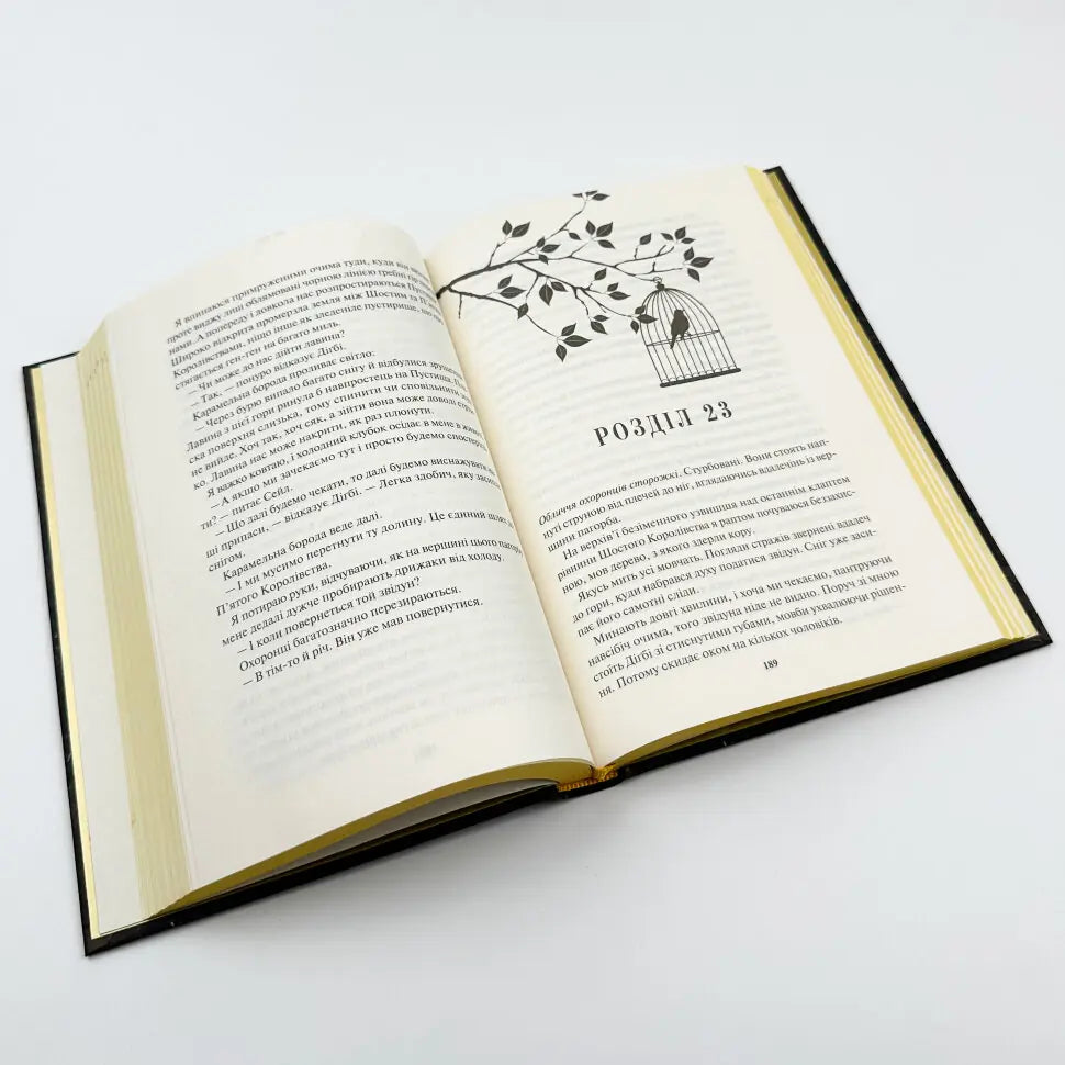 Блиск. Книга 1. Золота бранка