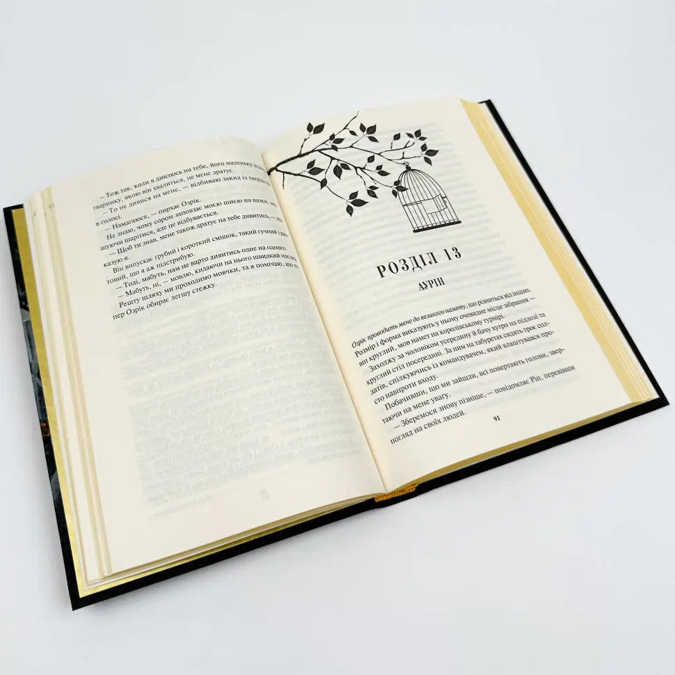 Відблиск. Книга 2. Золота бранка