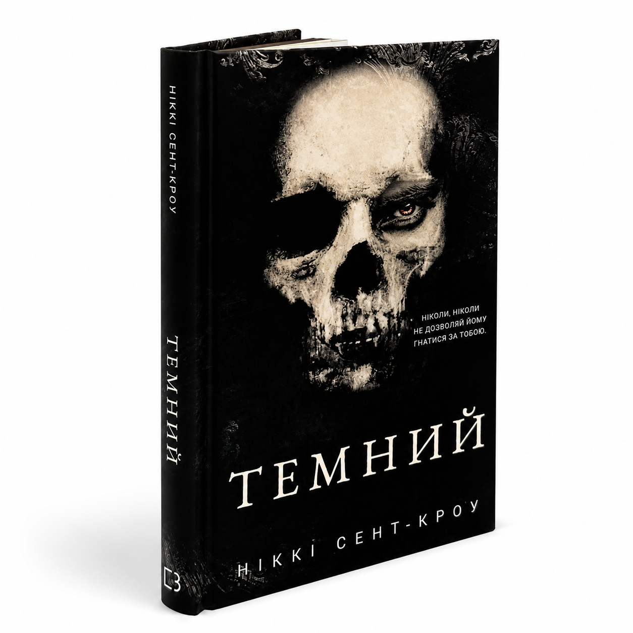 Темний. Книга 2. Розпусні загублені хлопці